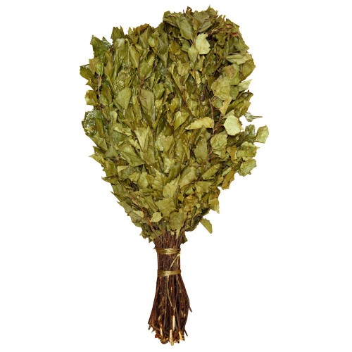 Matura de mesteacan pentru sauna