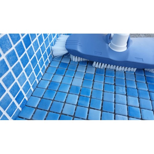 Perie ovala aspirare piscina AstralPool 40997