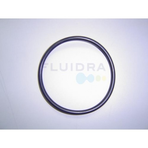 Garnitura pentru filtru Cantabric top AstralPool 4404180201